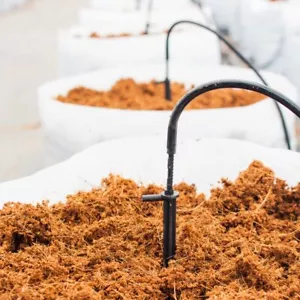 ๐ฑ Triple-Washed Coco Coir Soil โ Ready to Use, Low EC, Premium Soilless Growing - Picture 1 of 5