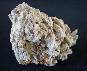 Thinolite Tufa Calcite pseudomorph after Ikaite from Pyramid Lake, Nevada - Picture 1 of 3