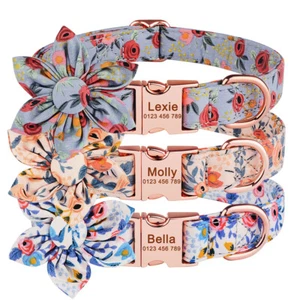Personalisiertes Mädchen Blume Hund Halsband strapazierfähig Name Ausweis Etikett graviert S M L Welpe - Bild 1 von 14
