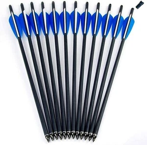 12Pcs 20" Crossbow Bolts Carbon Arrows Archery Hunting Half Moon Nock Arrows - Picture 1 of 12