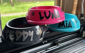 New Personalised Design Large 6” Dog/Puppy Feeding Bowl. Choice Of 3 Colours - Picture 1 of 6