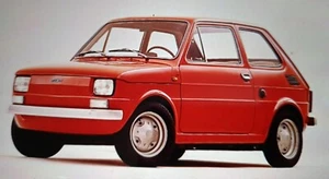 Manuale professionale IN ITALIANO di manutenzione e restauro Fiat 126 - Foto 1 di 1