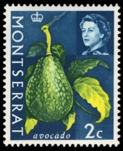 MONTSERRAT 160 - Queen Elizabeth II "Avocado" (pb48479) - Picture 1 of 1