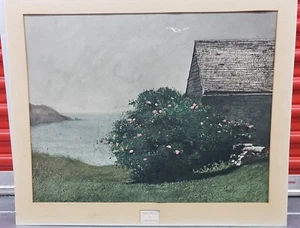 Jamie Wyeth Vintage Color Lithograph Limited Edition - Picture 1 of 19