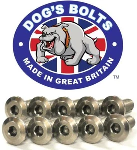 Triumph 955 Tiger  00-06 Stainless Steel Front Brake Disc Bolt Kit - Picture 1 of 1