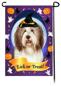 Halloween Garden Flag - Liver and White Bearded Collie - Picture 1 of 1