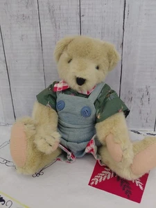 Vanderbear Family Fuzzy Fishing Bear, 1992 N. American Bear Co. 12 Zoll - Bild 1 von 6