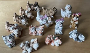 Peter Fagan, Colour Box, Personality Pups x 14 - Picture 1 of 3