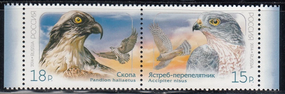 Russia 2014 Mi. #2095-96zd Prey Birds  set of 2 stamps - Image 1 of 1