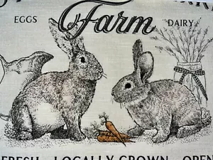 EASTER PLACEMATS SET of 4 BUNNY RABBIT FARM COTTON 13" X 19" ISAAC MIZRAHI New - Picture 1 of 7