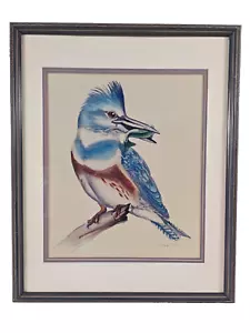 Eisvogel gerahmter Druck vom Künstler RICK HILLS 22x27 - Bild 1 von 10