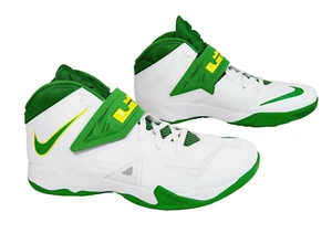 Oregon DUCKS Basketball TEAM ISSUED Nike LEBRON VII CUSTOM Shoes PE MEN'S 14 - Picture 1 of 8