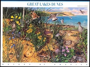 2008 Great Lakes Dünen 10. Natur Amerikas, postfrisch Bogen 10 x 42 ¢ Briefmarken #4352 - Bild 1 von 2