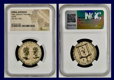 Ancient Roman Coin Temple Trebonianus Gallus and Volusian NGC Genuine 251-253AD - Image 1 of 4