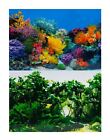 Aquarium Fish Tank Background 2 Sides + Adhesive - 60Cm High 2 To 10 Ft Lengths