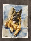 Coa Original Art Watercolor Painting German Shepherd Dog Portrait Animal 11"X14"