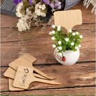 Marqueurs personnalisés de plantes en bois faits à la main pour fleurs et herb
