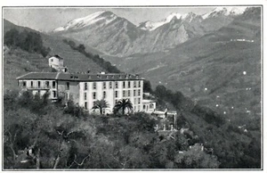 Imp. Colombani Menton Postcard - Picture 1 of 2
