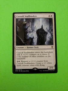 Custodi Soulbinders C16 - Magic The Gathering MTG gioco di carte da collezione RARO - Foto 1 di 2