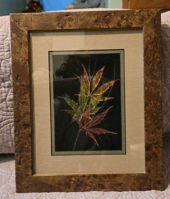 Leaf Lines BOOKER MOREY Hojas de Arce Japonés Caja de Sombras Arte Otoño Firmado Numerado Foto 1 de 4