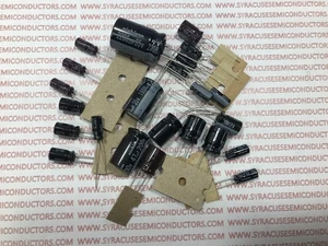 Kit tappo Wells Gardner K7000 - tutti i tappi 105 gradi - tutti i tappi NICHICON 105*! - Foto 1 di 1