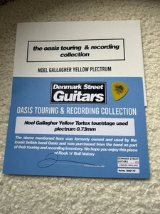 Oasis Noel Gallagher Used Plectrum Guitar Pick - Picture 1 of 4