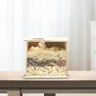 Hamster Sand Bath Box Rest Sand Bath Container for Chinchillas Mice Lemmings