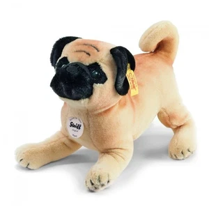 Mopsy the pug 25 - Picture 1 of 1