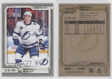 2018-19 O-Pee-Chee Silver Ondrej Palat #309