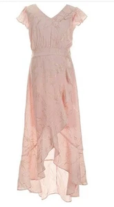 Allison & Kelly Girls Dress Size 10 Blush Chiffon with Gold Foil Accents Flowy - Picture 1 of 5