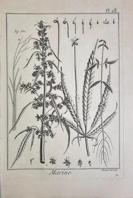 Marine. Robert Benard. Plate 28, Kupferstich aus Encyclopédie méthodique. 1792 - Bild 1 von 4