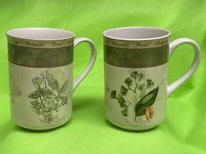 American Atelier 2 Bouquet Garni BECHER Minze Basilikum Petersilie Pfeffer 2er Set verfügbar - Bild 1 von 4
