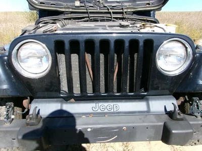Grille Fits 97-06 WRANGLER 2176170 - Image 1 of 4