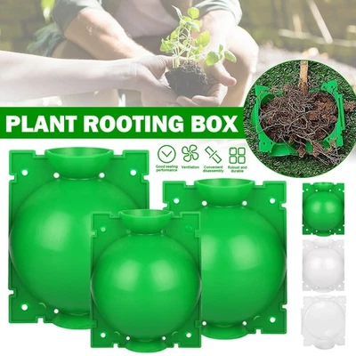 1-50PCS Plant Rooting Ball Grafting Rooting Growing Box Breeding Case for Garden - Image 1 of 4