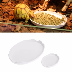 Pet Tortoise Snake Reptile Terrarium Drinking Food Water Bowl Pets Dish Feeder T - Picture 1 of 7