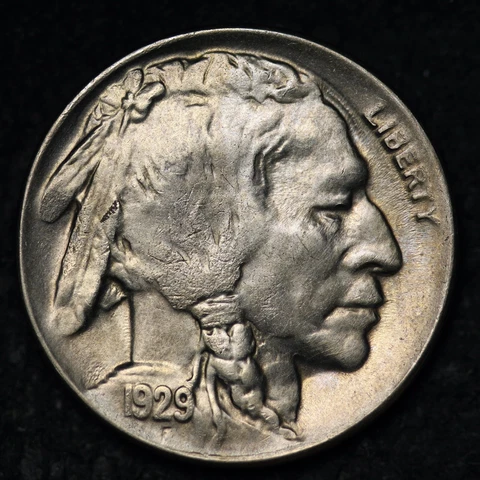 1929-D Buffalo Nickel GEM BU *UNCIRCULATED* MS FREE SHIPPING E227 RNZY Cover