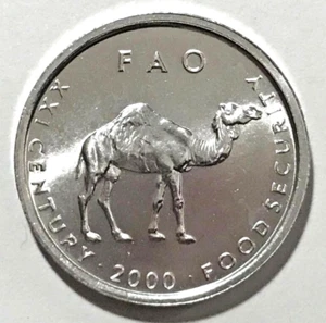 2000 Somalia Coin 10 shillings Camel Animal African Wildlife - Picture 1 of 2