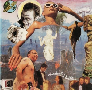 CELIBATE RIFLES Wonderful Life 2x7" w/PS AUSSIE PUNK - Picture 1 of 3