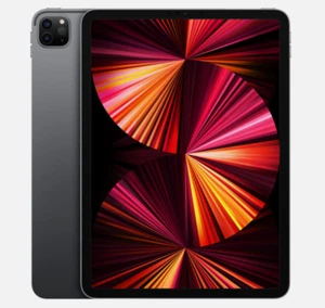 Apple iPad Pro 11 (4.ª generación) M2 256 GB desbloqueado excelente estado - gris espacial - Imagen 1 de 3