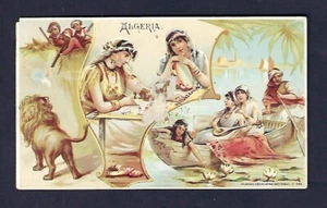 Tarjeta comercial de 1890 Arbuckle Bros. café, Argelia, león de caza, pandereta - Imagen 1 de 2