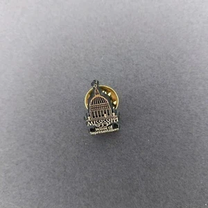 MS Mississippi House Of Representatives Small Plastic Hat Lapel Jacket Pin - Picture 1 of 2