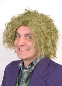 Joker Green Wig Batman the Dark Knight Fancy Dress Costume - Picture 1 of 2