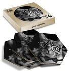 4 x Hexagon Coasters - BW - Geek Cat with Eye Glasses Bowtie #37637
