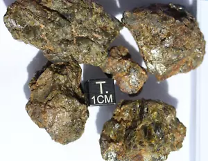 Meteorit NWA 7831 Diogenit HED Achondrit Meteorit, 100 Gramm - Bild 1 von 17