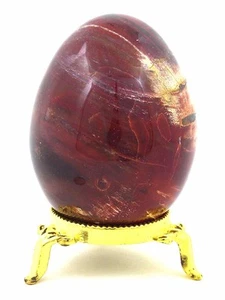 Huevo de piedra curativa tallada lapidaria de 3" de madera petrificada BUTW Arizona 1530P - Imagen 1 de 1