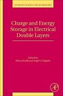 Charge and Energy Storage in Electrical Double Layers Ahualli Delgado Volume 24