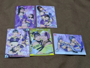 Arisu Endo Tokyo Womens Pro Wrestling BBM Card Set 2021-2023 Neu - Bild 1 von 2