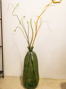 Rami in tre diverse varianti - Foto 1 di 7