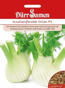 Knollenfenchel Orion F1 Saatgut von Dürr Samen 80 Korn - Bild 1 von 1