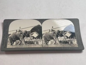 Bloque de transporte de elefantes foto Stereoview madera de teca patio de madera Rangún Birmania - Imagen 1 de 3